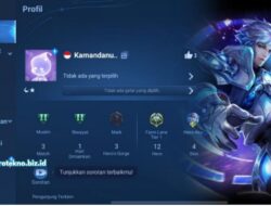 Cara Ganti Nickname di Honor of Kings dengan Mudah dan Aman