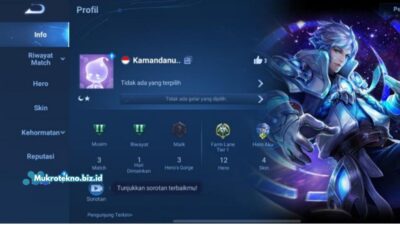 Cara Ganti Nickname di Honor of Kings