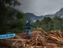 Viral Gelondongan Kayu Terbawa Banjir Bandang di Sumut, Gubernur Bobby Nasution Beri Tanggapan
