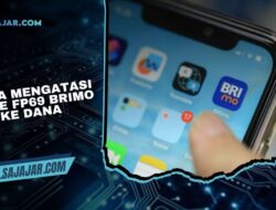 Error Kode FP69 BRImo ke DANA, Apa yang Harus di Lakukan?