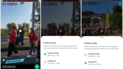 Cara Mengatasi WhatsApp Tidak Bisa Kirim Video