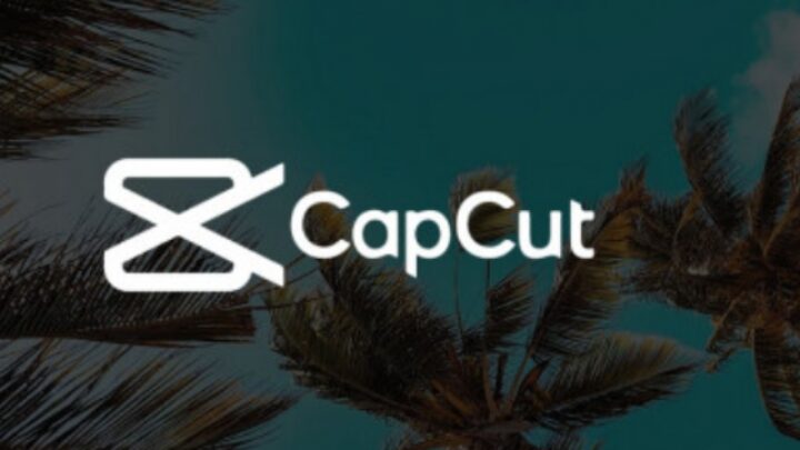 cara daftar jadi creator capcut, gampang pasti disetujui