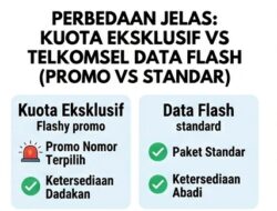 Perbedaan Telkomsel Data Dan Telkomsel Data Flash Dan Rekomendasi Pilihan Hemat