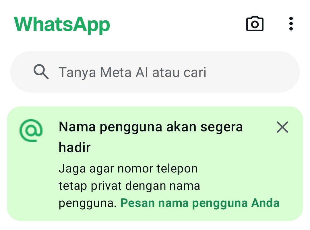 Tampilan antarmuka fitur username WhatsApp yang memungkinkan pengguna membuat identitas tanpa nomor HP.